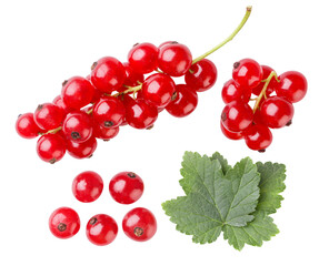 Set of red currants and leaves on a white background. Top view