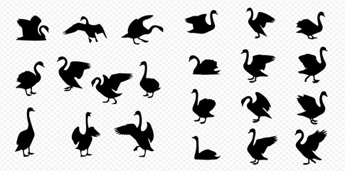 A diverse collection of black swan silhouettes, illustrating various poses such as swimming, walking, and spreading wings, isolated on a transparent background.