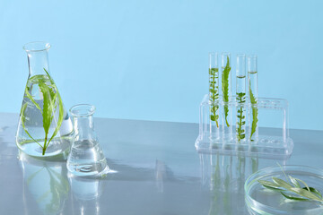 Glass beakers filled with water and plant stems arranged side by side for botanical research promotional visuals. Blank space for design