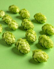 Fototapeta premium Fresh green hops arranged on a solid background