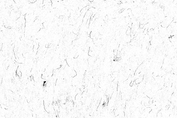 Abstract texture of delicate fibers on white background.