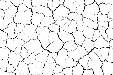 A close-up of dry, cracked surface with a stark black and white contrast.