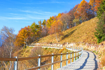 The hiking trail  in  Parco Valentino in autumn, Piani dei Resinelli, Ballabio, Province of Lecco, Lombardy, Italy