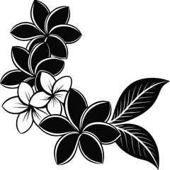 Vector art of stylized black and white illustration of plumeria flowers and leaves forming a decorative corner element, isolated on white background