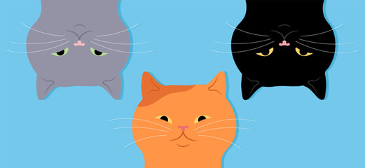 Three cute cats upside down. Curious gray, red and black cats. Vector illustration.