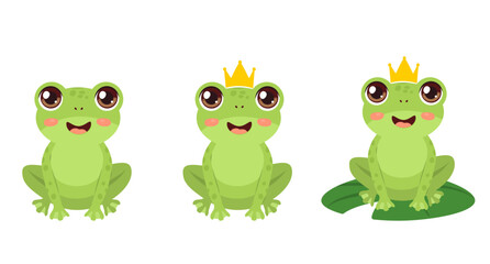  Cute Frog Vector Illustration 