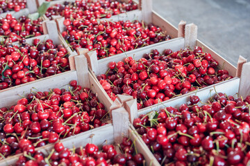 Fresh red sweet cherries in wooden crates prepared for sale on a market.