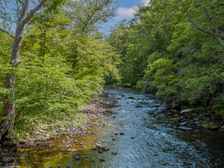 Obraz premium Millbrook Stream