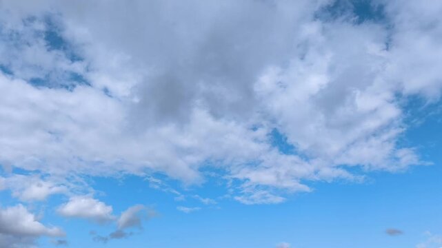 Large and curious whitish cumulus clouds in afternoon