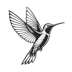Flying Hummingbird Silhouette Vector – Elegant Tropical Bird Black Icon Design