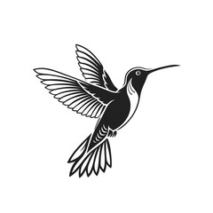 Flying Hummingbird Silhouette Vector – Elegant Tropical Bird Black Icon Design