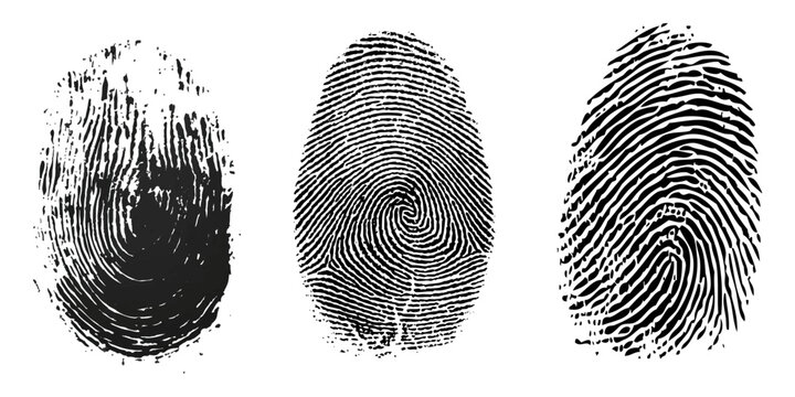 Group of Finger Print on white Paper. Black and White. 	isolated, transparent background