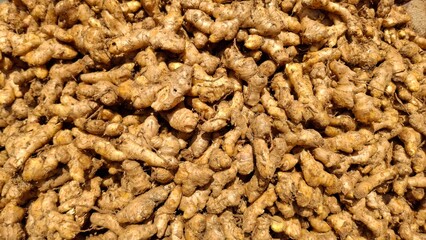 Knobby, fresh ginger roots piled together, showcasing their earthy brown color and rugged texture. A staple spice and medicinal root ideal for organic produce and traditional cooking themes
