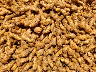 A pile of fresh ginger roots with knobby texture and earthy brown color. A versatile spice and medicinal root ideal for themes of organic produce, natural remedies, and traditional cooking