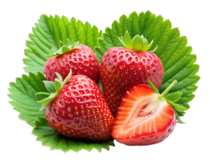 Photo of three ripe strawberries and one sliced strawberry resting on green leaves, isolated on transparent background, highlighting their juicy texture and vibrant color