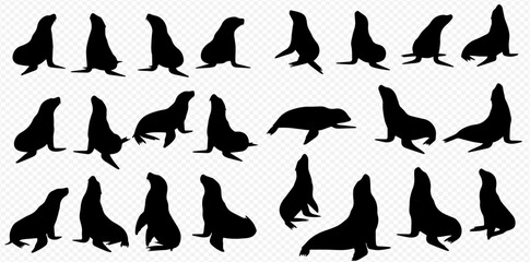 A collection of black silhouettes depicting seals and sea lions in various natural poses, isolated on a transparent background.