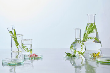 Glass beakers with water and green plants, styled alongside petri dishes for botanical lab promotional visuals. plant science experiments for advertising