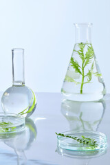 A round-bottom flask and a small petri dish filled with green botanical samples, styled on a bright lab surface for photography.