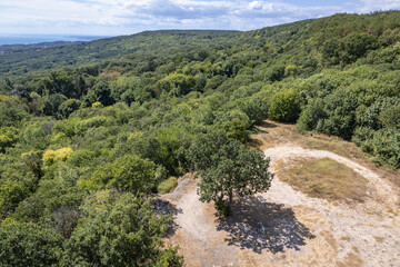 Obraz premium Aerial view from fire lookout tower in Golden Sands Nature Park, Bulgaria
