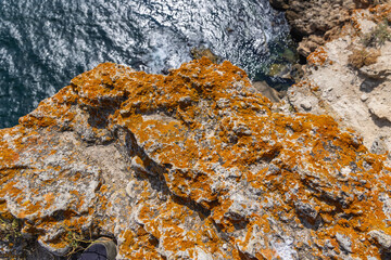 Orange moss on a rocks on Cape Kaliakra on Black Sea coast in Bulgaria