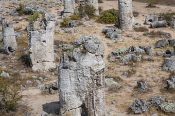 Stone columns in Pobiti Kamani - natural phenomenon called Stone Forest in Bulgaria