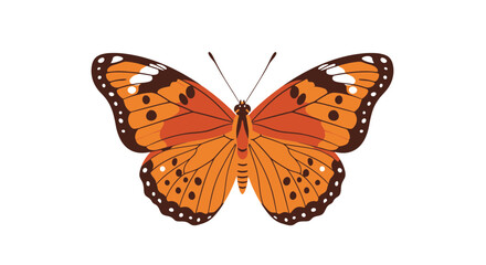 Fototapeta premium Detailed vector illustration of an orange butterfly with artistic wing patterns