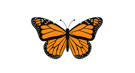 Fototapeta premium Elegant Monarch Butterfly Illustration with Detailed Wing Patterns Design