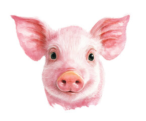 Charming pink pig portrait for farm themed decoration
