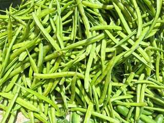 Fresh Green Beans Pile – Organic Vegetable Harvest, Natural Food Texture, Healthy Eating Concept, Close-Up Farm Produce Photography