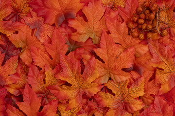 Fall Leaves autumn season background