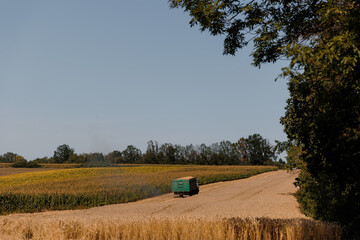 Combine  working on a golden wheat field during harvest season. Agricultural machinery collecting crops with a truck nearby for grain transportation. Rural landscape with cornfield, tree line