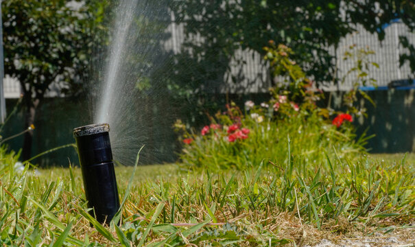 A close-up of a black garden sprinkler spraying water onto a lush green lawn. Blurred flowers in shades of red and pink are visible in the background, as well as leafy trees and a fence. - Powered by Adobe