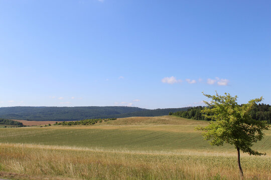 Landschaft bei Timmenrode, Harz