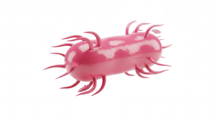 Pink Microbe Render Against transparent background: A Scientific Visualization