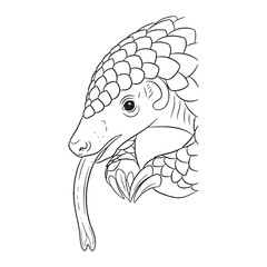 Minimal Pangolin Line Art – Pangolin Vector Illustration Clean Wildlife Drawing – Pangolin Drawing – Line Art Drawing of Pangolin – Pangolin Icon

