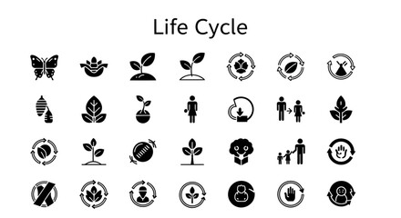 Life Cycle Solid Black Icons: Biology, Growth, Development, and Process
