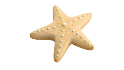 Starfish Shaped Cookie Decorated with White Pearls on transparent Background sea life ocean