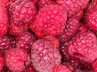 Fresh Red Raspberries Arranged Closely Together at a Local Farmers Market in Summer