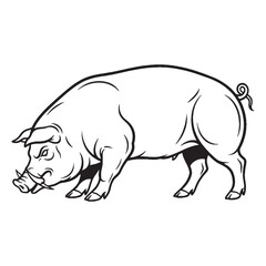 Cartoon Pig Line Art – Pig Vector Outline Drawing with Soft Curves – Pig Drawing – Vector of Pig – Pig Outline

