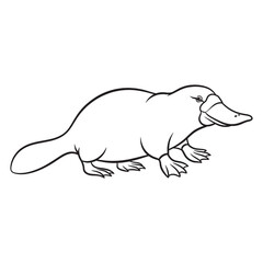 Minimalist Platypus Line Art – Platypus Vector Illustration Artistic Drawing with Smooth Curves – Platypus Drawing – Line Art Drawing of Platypus – Platypus Icon

