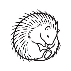 Stylish Porcupine Line Art – Porcupine Vector Illustration Smooth Drawing with Clean Curves – Porcupine Drawing – Line Art Drawing of Porcupine – Porcupine Icon

