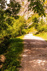 Naklejka premium Sendero en Bulnes, Picos de Europa.