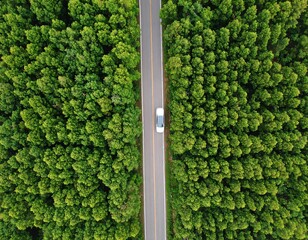 Aerial view of a road through lush green trees, with a white car