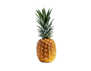 Fototapeta premium Pineapple fruit tropical exotic fresh sweet healthy food vitamin diet gold on transparent background
