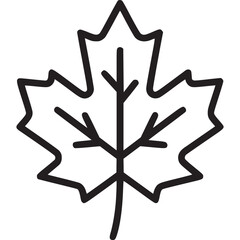 Maple leaf icon isolated on white background, depicting autumn season, nature, and botanical elements in a simple, elegant, and minimalist line art style for graphic design