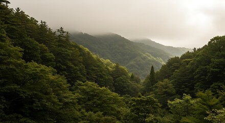 tone warna beige, olive, dan emerald blue sedang diminati Pastikan ada ruang kosong (copy space) di foto untuk memudahkan desainer pakai