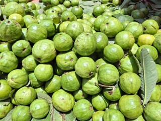 Green Guavas – Fresh Tropical Produce, Healthy Lifestyle, Vitamin C Rich Fruit, Farm Fresh Background