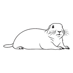 Elegant Wildlife Prairie Dog Line Art – Prairie Dog Vector Illustration Balanced Drawing with Clean Finish – Prairie Dog Drawing – Line Art Drawing of Prairie Dog – Prairie Dog Icon

