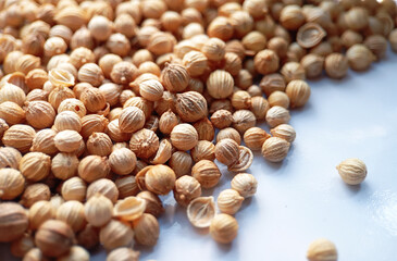 close-up, high-angle shot of dried coriander seeds, a popular spice, scattered on a white surface.