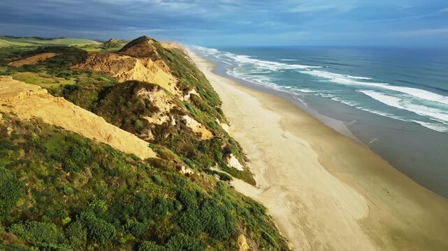 Aerial view of the dramatic contrast between golden dunes and the vast blue ocean, merging into the sandy beach, Dargaville, Northland Region, New Zealand.